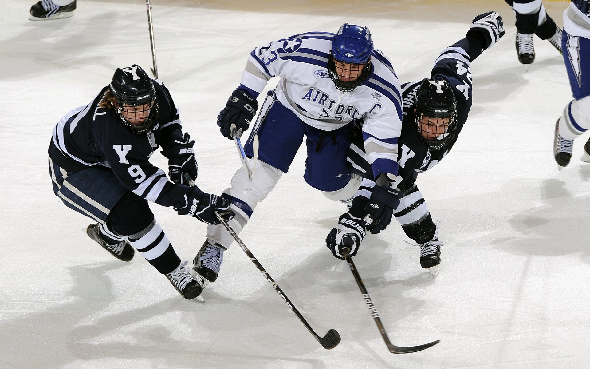 “公牛队新秀秀出色,带领球队开启新篇章”,公牛队新赛季