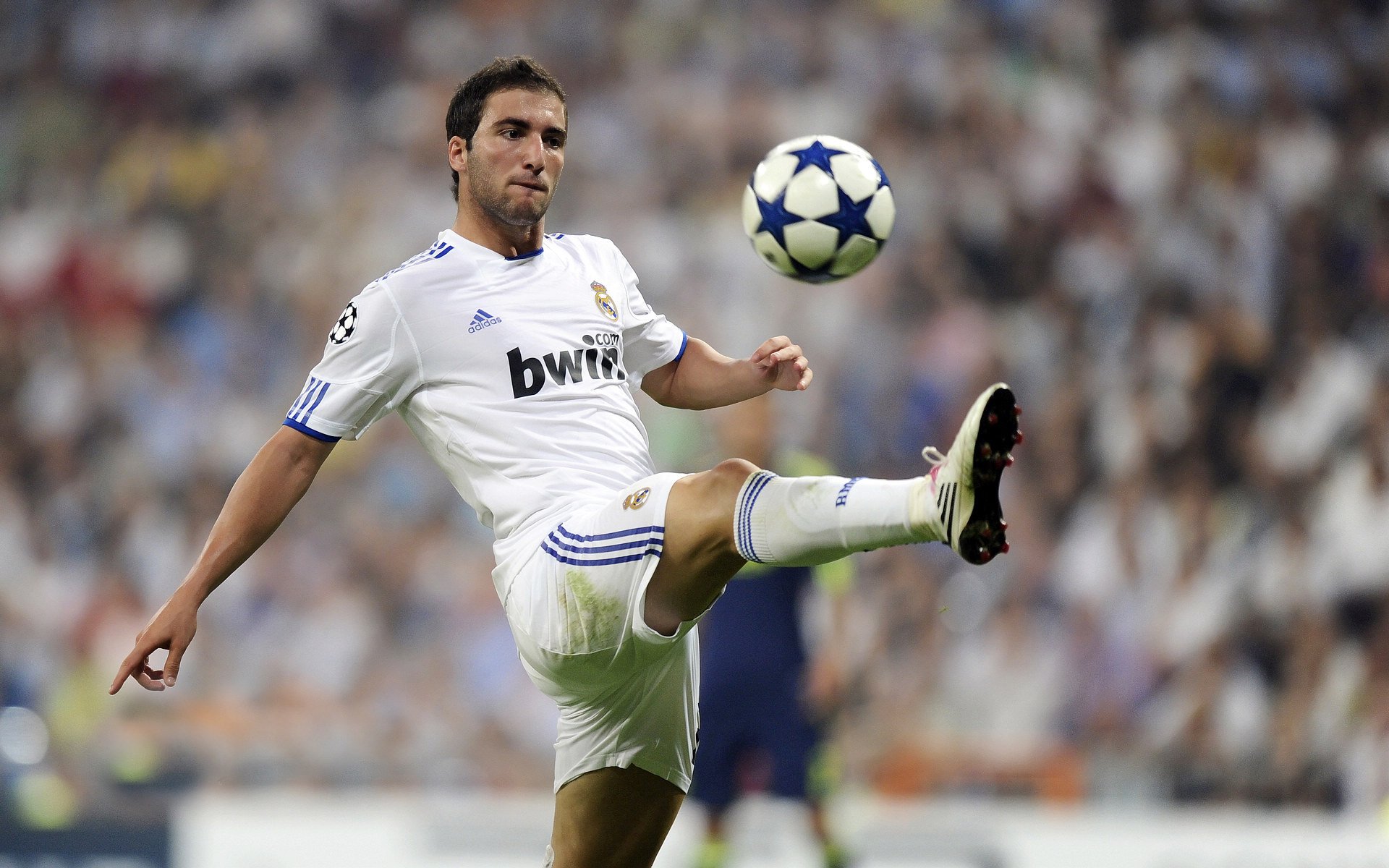 “未来之星全国青少年足球邀请赛火热举行，精彩纷呈”，校园足球未来之星申报材料2020年